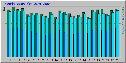 Hourly usage for June 2020