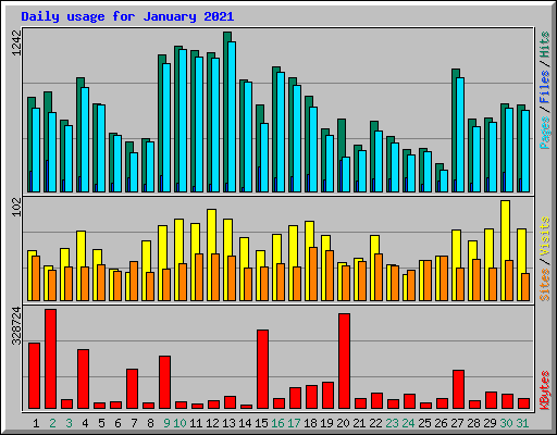 Daily usage for January 2021
