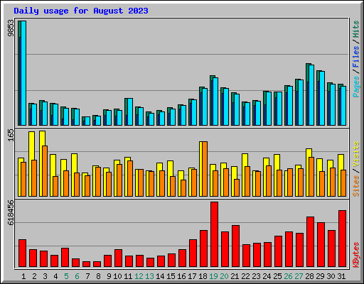Daily usage for August 2023
