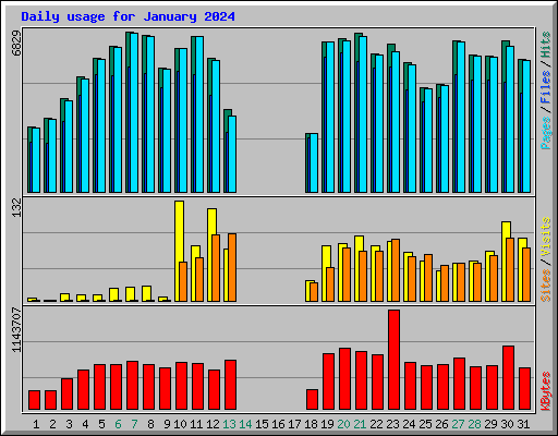 Daily usage for January 2024