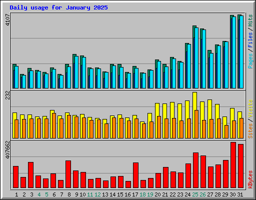 Daily usage for January 2025
