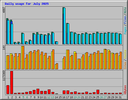 Daily usage for July 2025