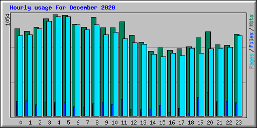 Hourly usage for December 2020