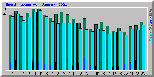Hourly usage for January 2021