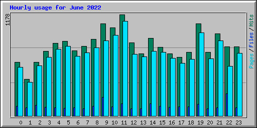 Hourly usage for June 2022