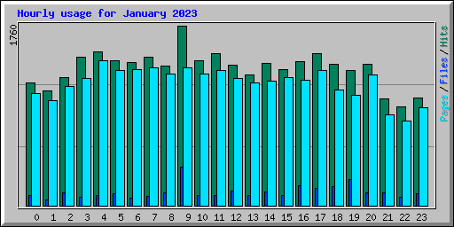 Hourly usage for January 2023