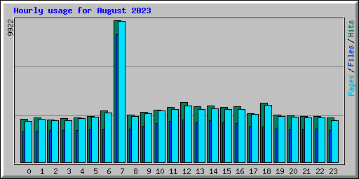 Hourly usage for August 2023