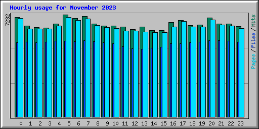 Hourly usage for November 2023