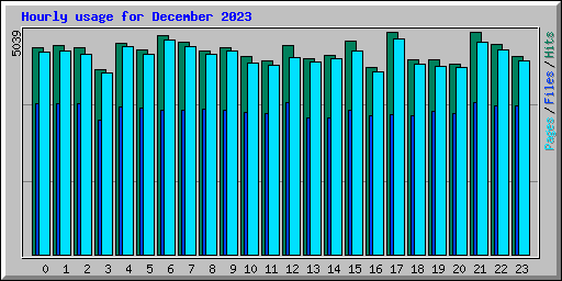 Hourly usage for December 2023
