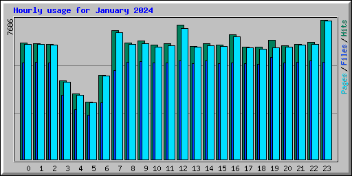Hourly usage for January 2024