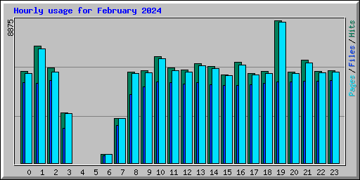 Hourly usage for February 2024