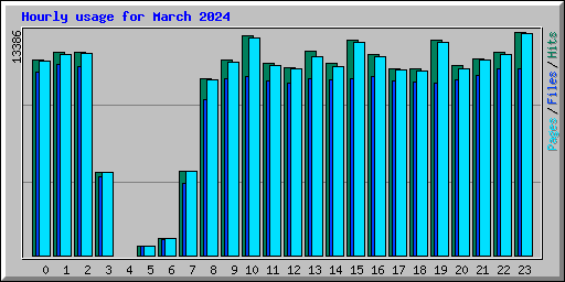 Hourly usage for March 2024