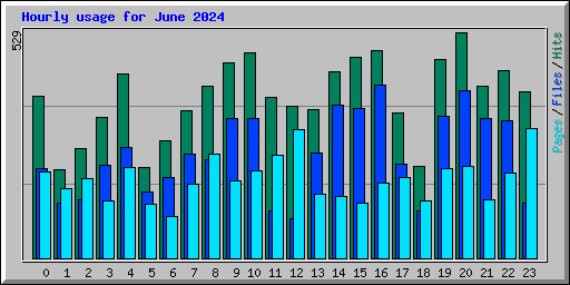 Hourly usage for June 2024
