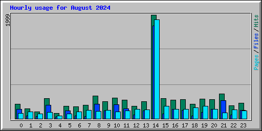 Hourly usage for August 2024