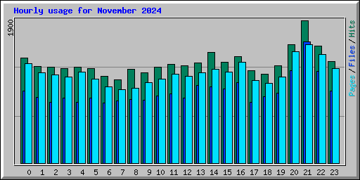 Hourly usage for November 2024