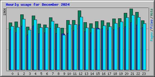 Hourly usage for December 2024