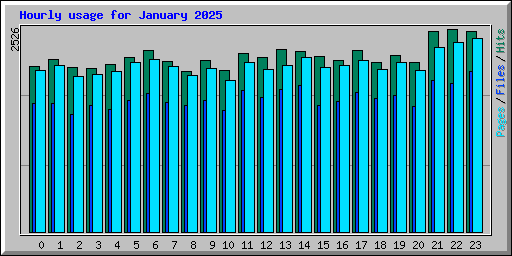 Hourly usage for January 2025