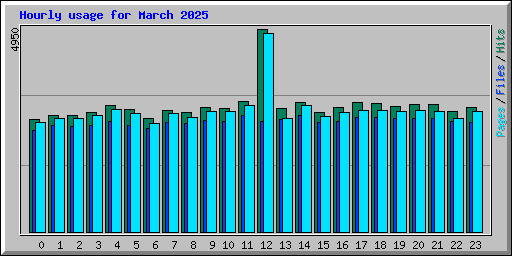 Hourly usage for March 2025