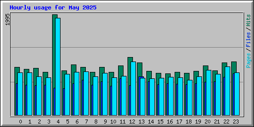 Hourly usage for May 2025