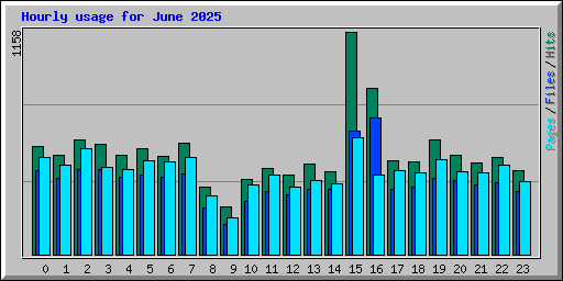 Hourly usage for June 2025