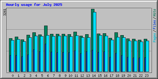 Hourly usage for July 2025