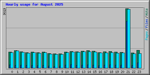 Hourly usage for August 2025