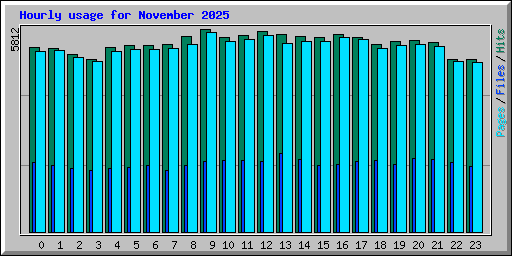 Hourly usage for November 2025