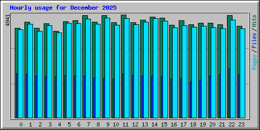 Hourly usage for December 2025