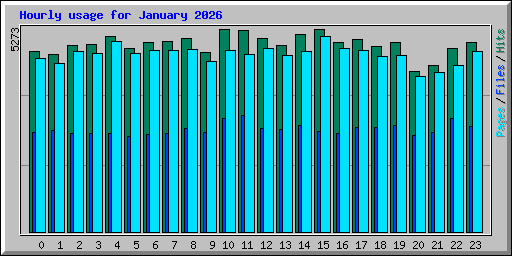 Hourly usage for January 2026